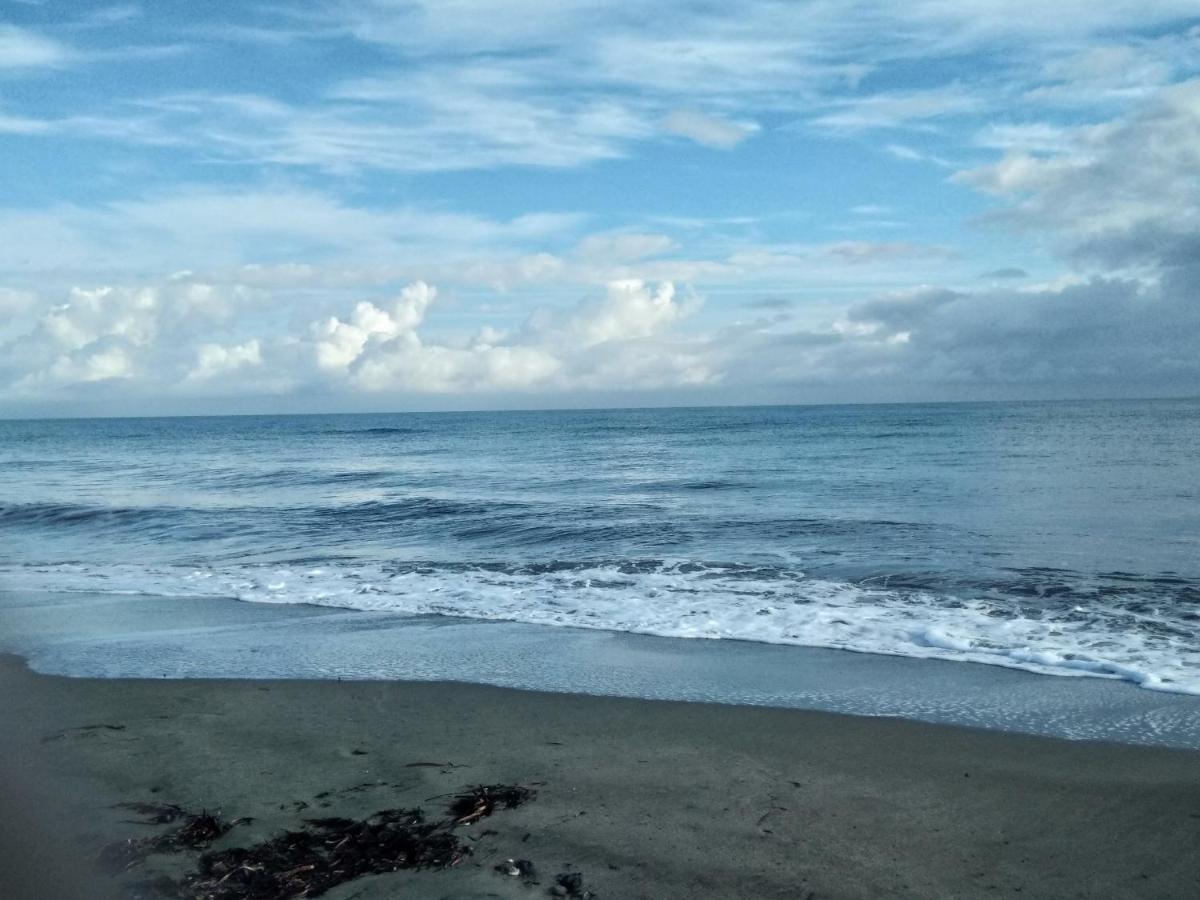Un Nid Douillet En Bord De Plage !! Lucciana  Exteriör bild