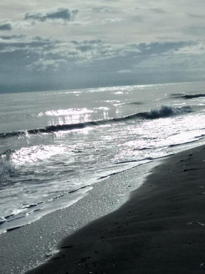 Un Nid Douillet En Bord De Plage !! Lucciana  Exteriör bild