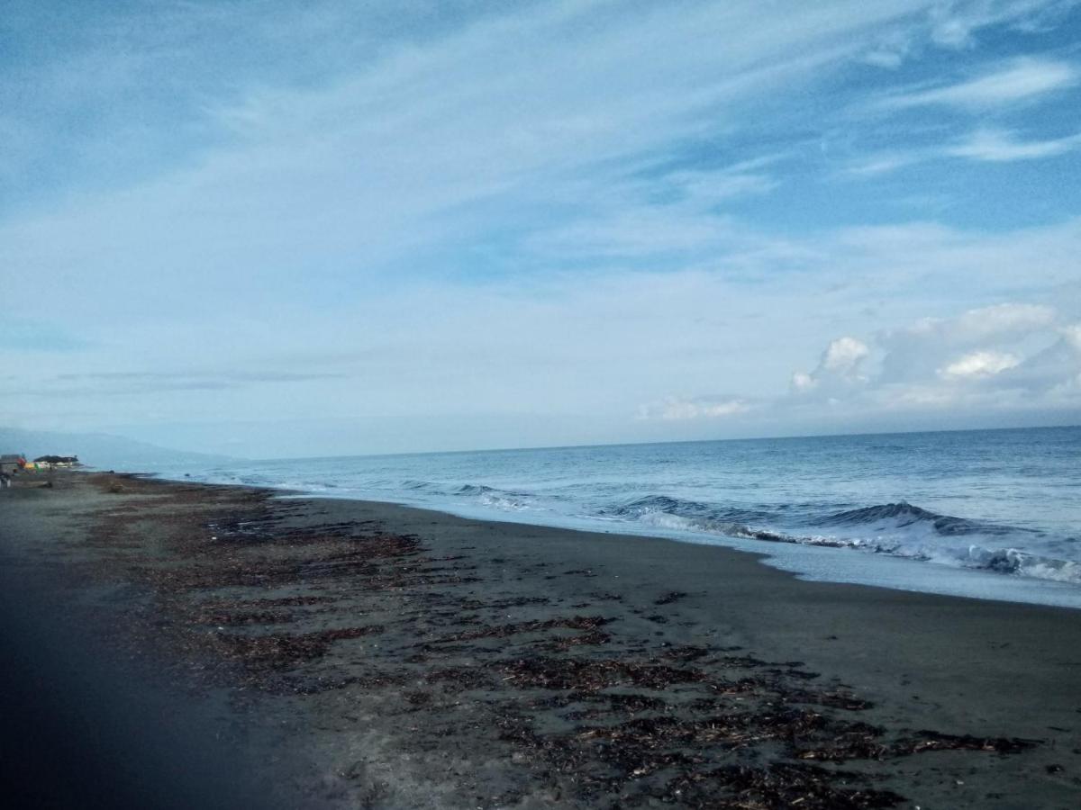 Un Nid Douillet En Bord De Plage !! Lucciana  Exteriör bild
